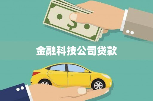 新林金融科技公司贷款