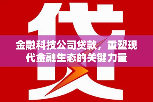 新林金融科技公司贷款，重塑现代金融生态的关键力量