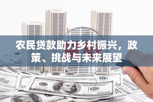 新林农民贷款助力乡村振兴，政策、挑战与未来展望