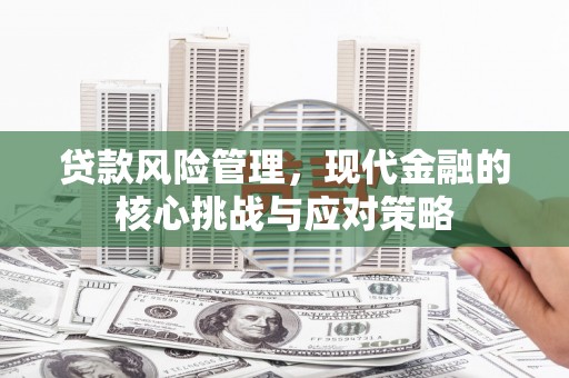 新林贷款风险管理，现代金融的核心挑战与应对策略