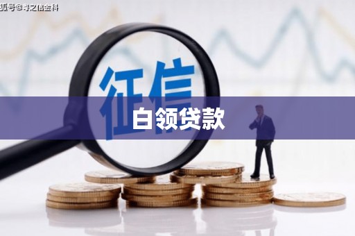 新林白领贷款