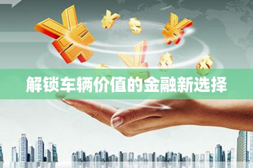 新林解锁车辆价值的金融新选择