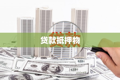 新林贷款抵押物
