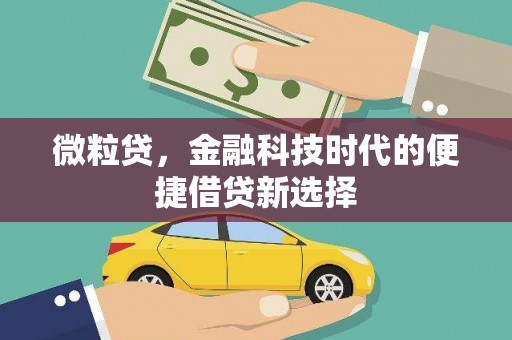 新林微粒贷，金融科技时代的便捷借贷新选择