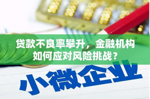 新林贷款不良率攀升，金融机构如何应对风险挑战？