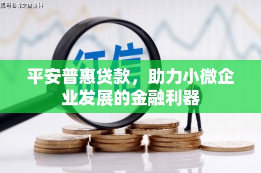 新林平安普惠贷款，助力小微企业发展的金融利器