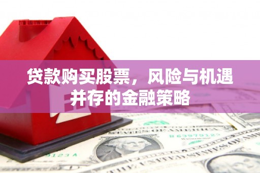 新林贷款购买股票，风险与机遇并存的金融策略