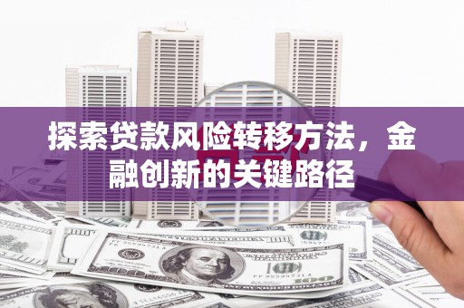 新林探索贷款风险转移方法，金融创新的关键路径