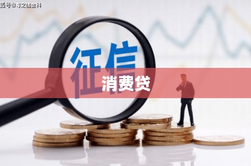新林消费贷