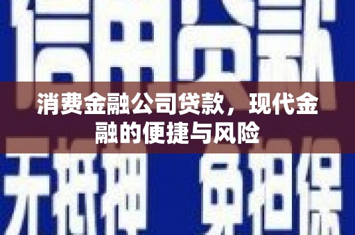 新林消费金融公司贷款，现代金融的便捷与风险
