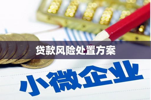 新林贷款风险处置方案