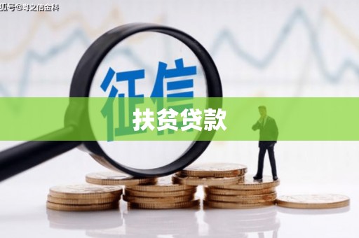 新林扶贫贷款