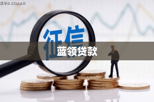 新林蓝领贷款