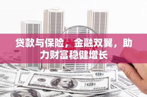 新林贷款与保险，金融双翼，助力财富稳健增长