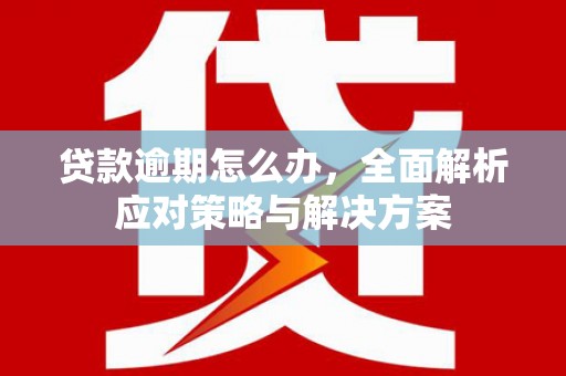 新林贷款逾期怎么办，全面解析应对策略与解决方案
