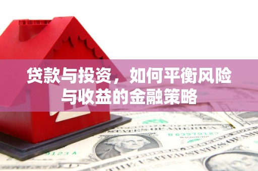 新林贷款与投资，如何平衡风险与收益的金融策略