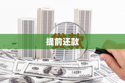 新林提前还款