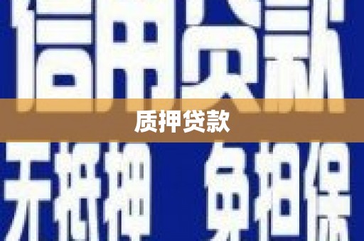 新林质押贷款