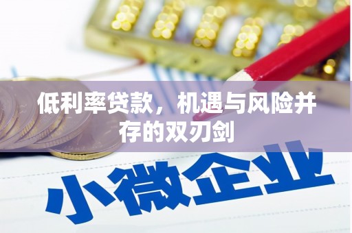 新林低利率贷款，机遇与风险并存的双刃剑