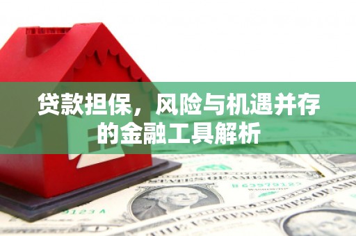 新林贷款担保，风险与机遇并存的金融工具解析