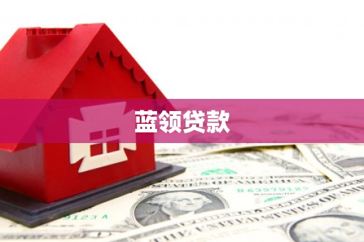 新林蓝领贷款
