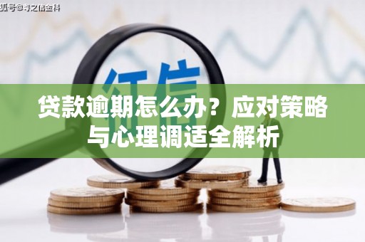 新林贷款逾期怎么办？应对策略与心理调适全解析