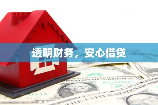 新林透明财务，安心借贷