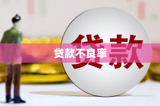 新林贷款不良率