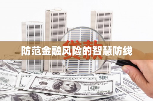 新林防范金融风险的智慧防线