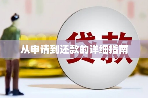 新林从申请到还款的详细指南