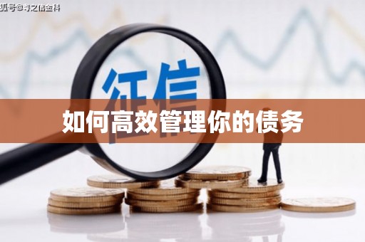 新林如何高效管理你的债务