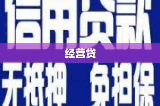 新林经营贷