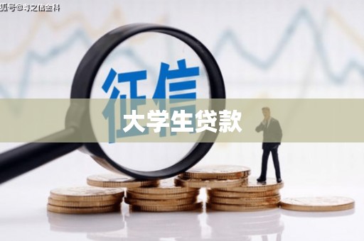 新林大学生贷款