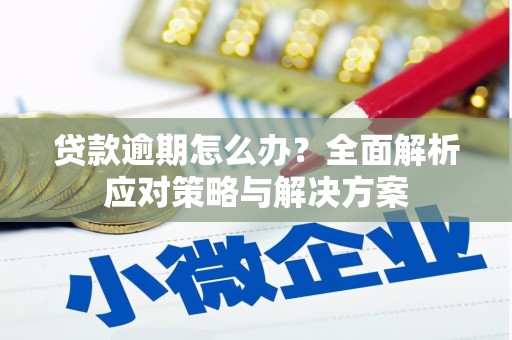 新林贷款逾期怎么办？全面解析应对策略与解决方案