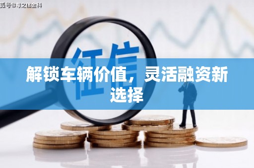 新林解锁车辆价值，灵活融资新选择