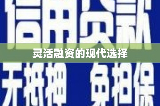 新林灵活融资的现代选择