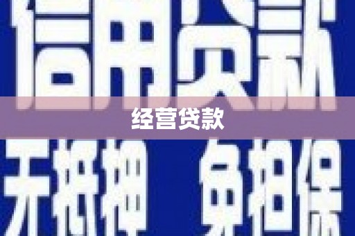 新林经营贷款