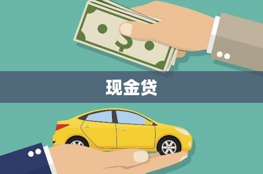 新林现金贷