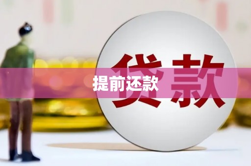 新林提前还款